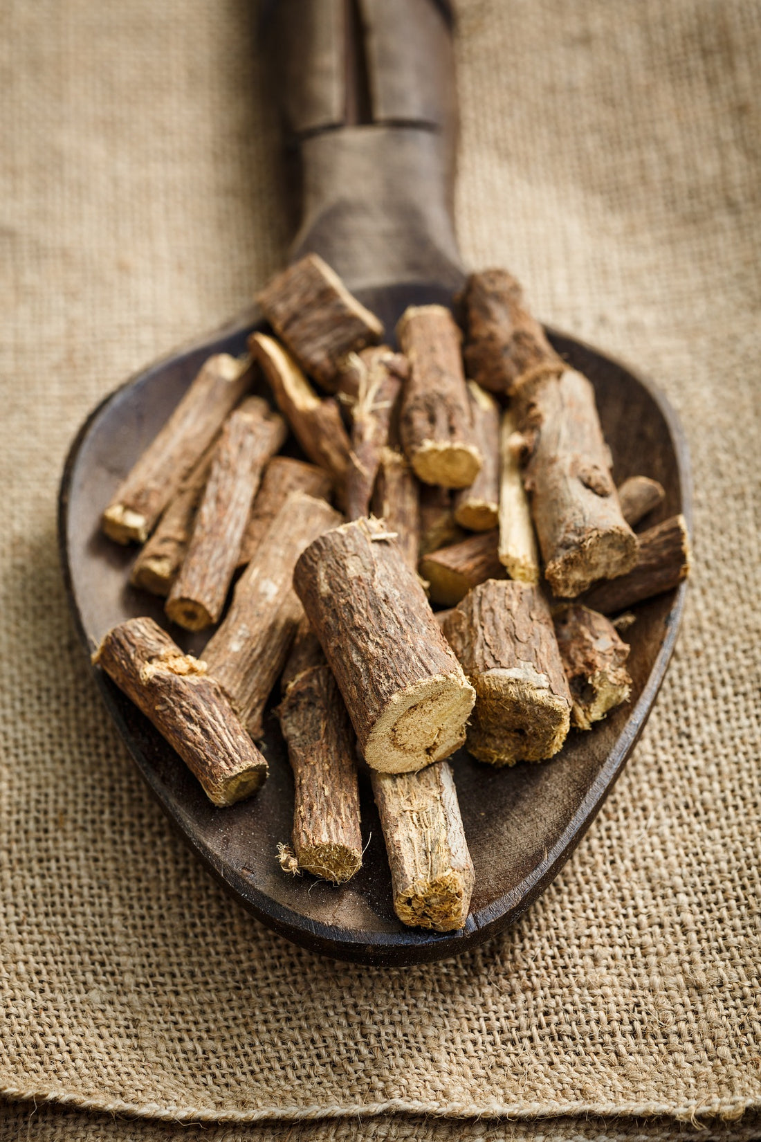 Licorice: The Remedy for Adrenals, Digestion & Immune Support