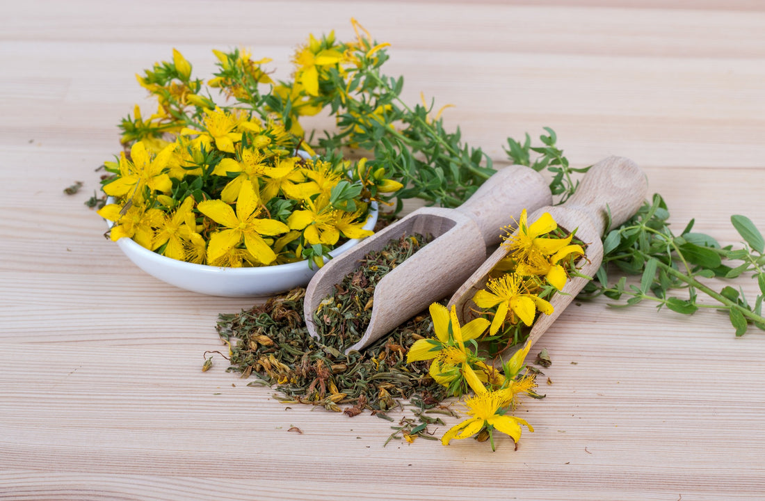St. John's Wort: An Herbal Remedy for the Mind & Mood